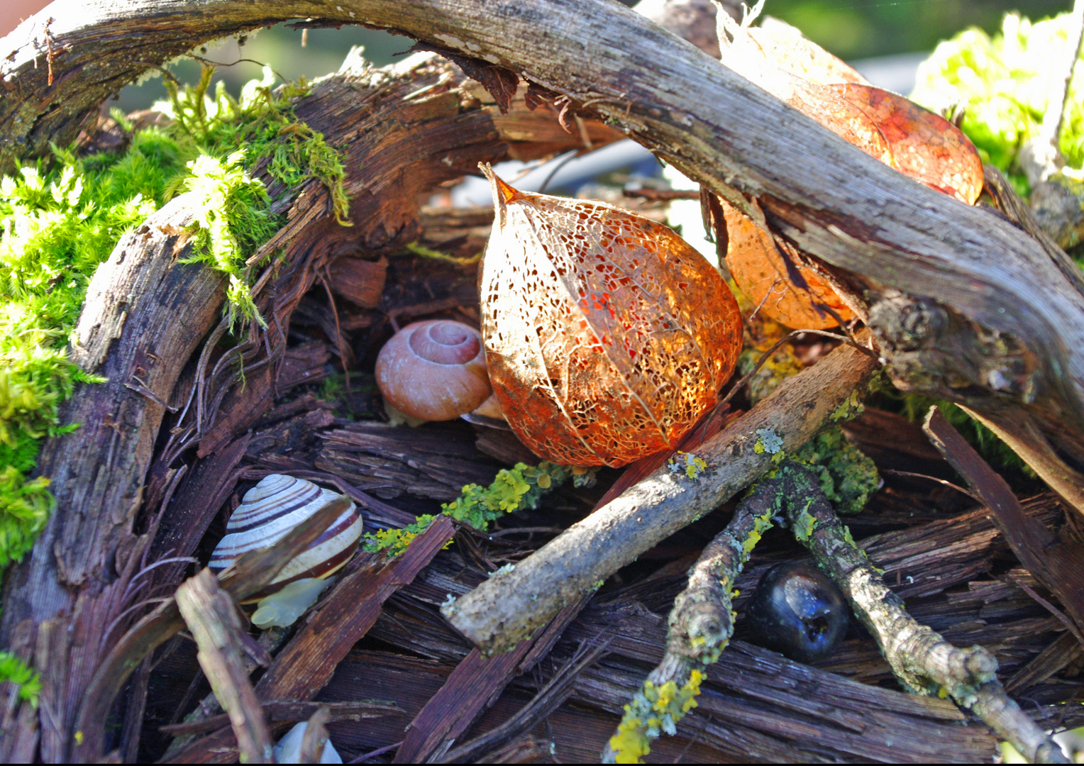 Herbstimpressionen