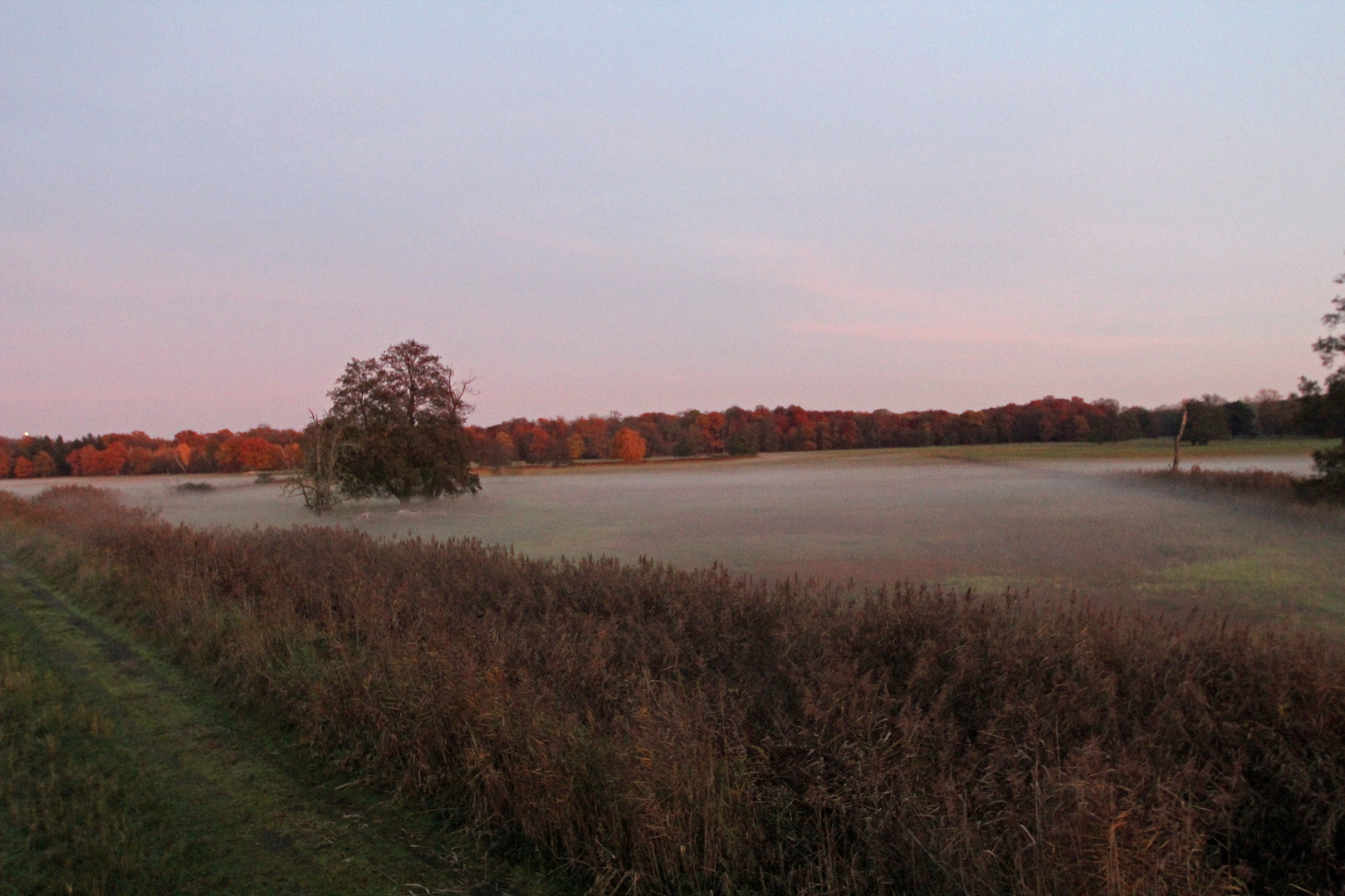 Herbstimpressionen -6-