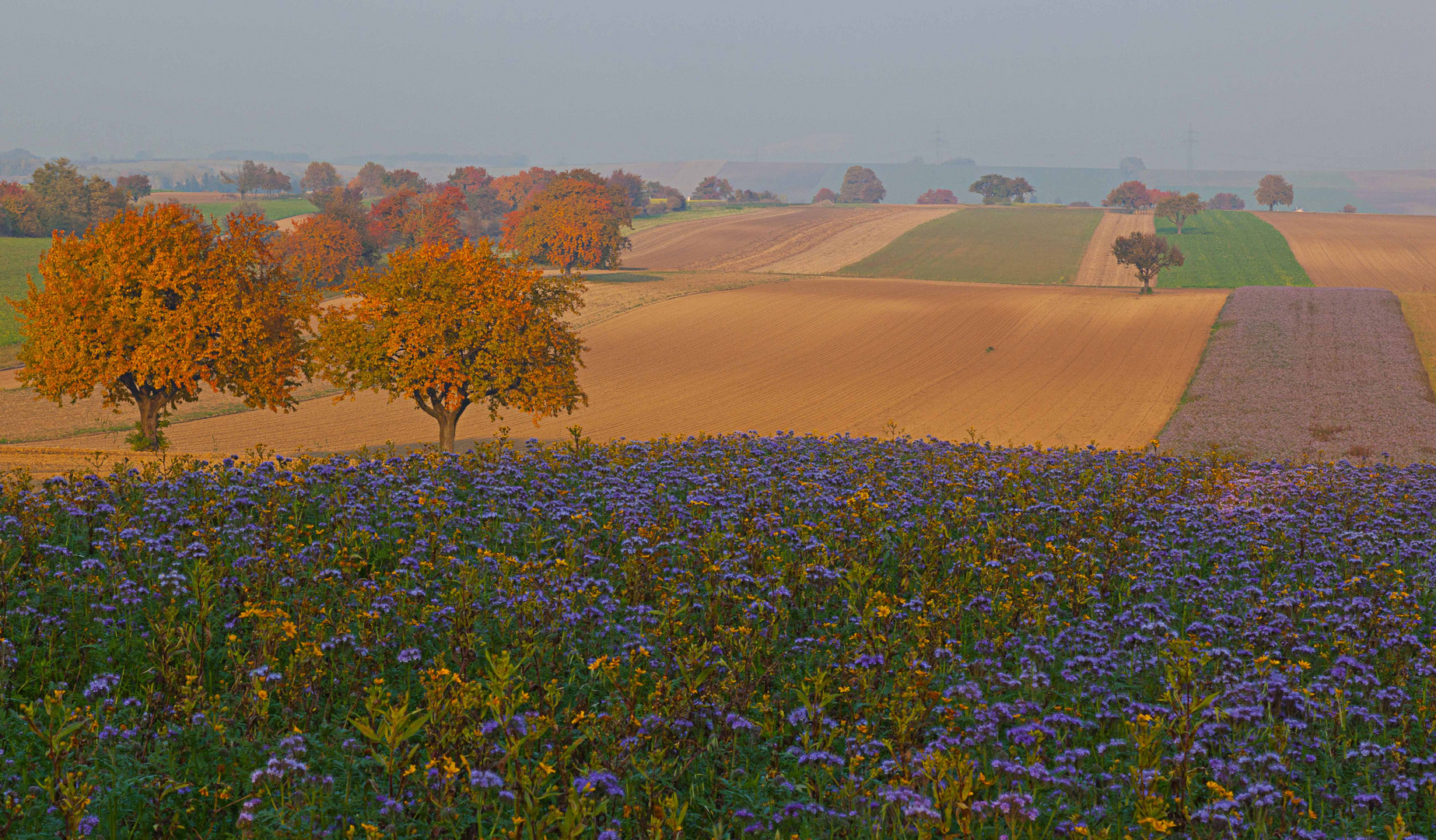 Herbstimpressionen -6-