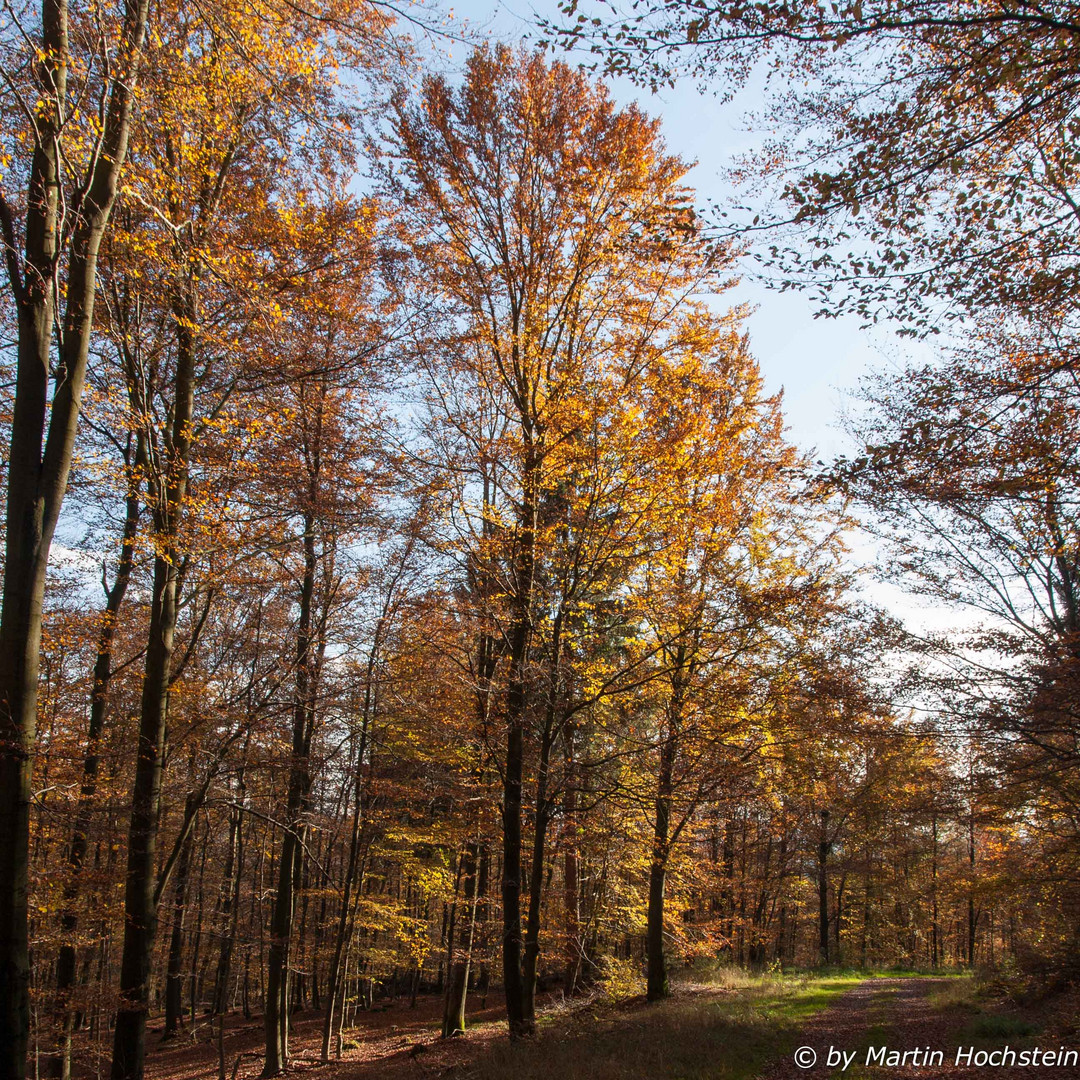 Herbstimpressionen