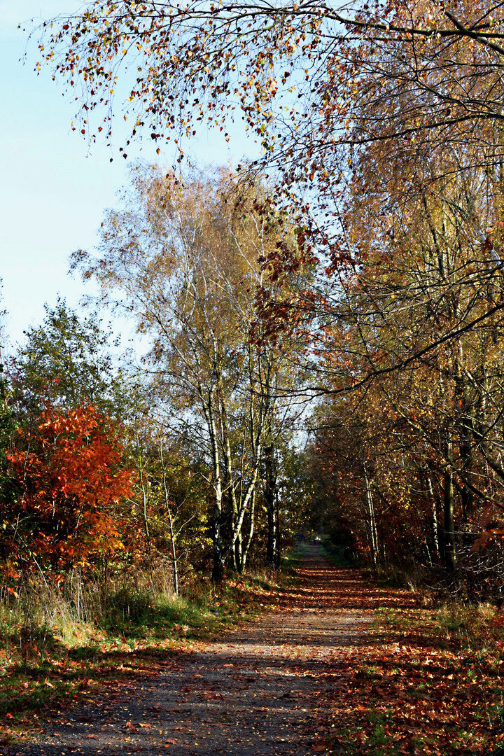 Herbstimpressionen