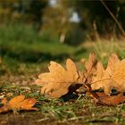 Herbstimpressionen.....