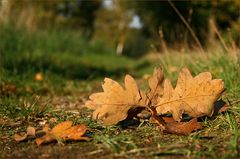 Herbstimpressionen.....