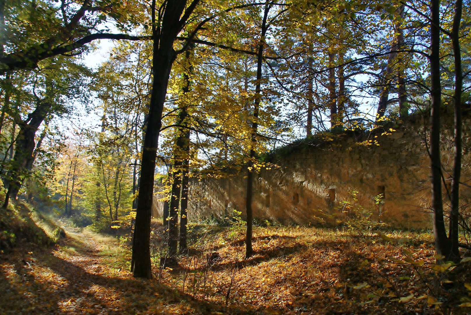 Herbstimpressionen