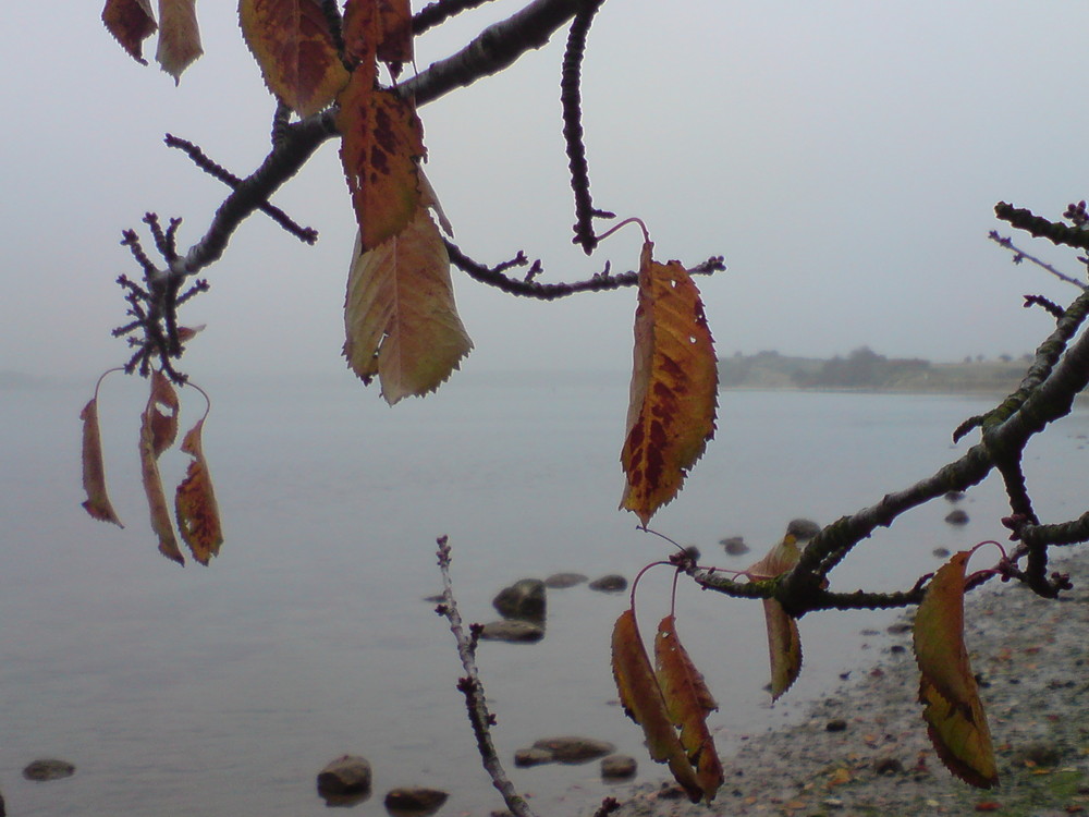 Herbstimpressionen