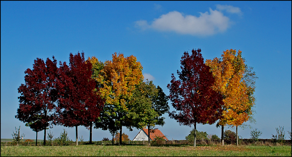 Herbstimpressionen