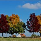 Herbstimpressionen