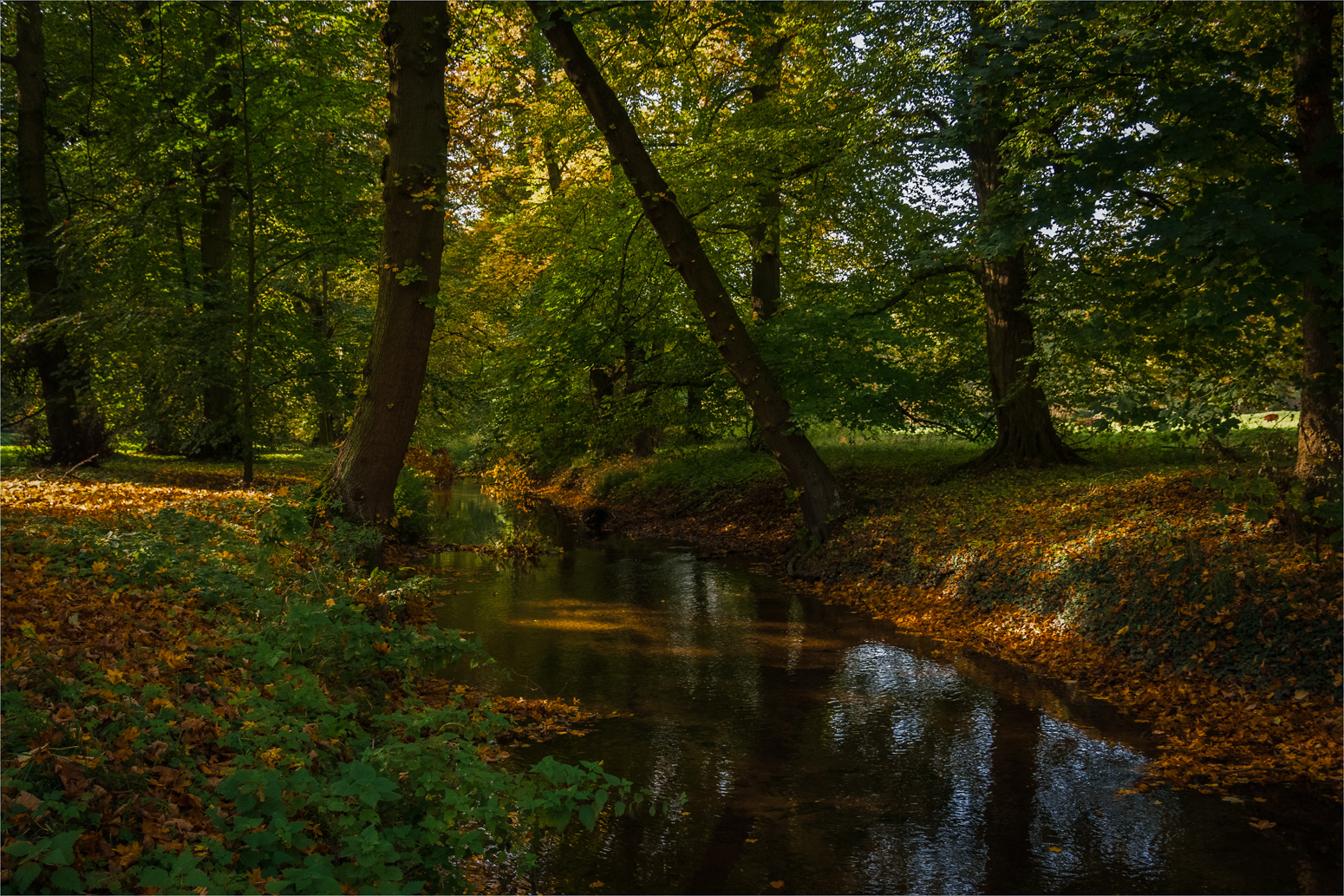 Herbstimpressionen