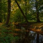 Herbstimpressionen