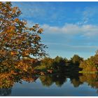 Herbstimpressionen