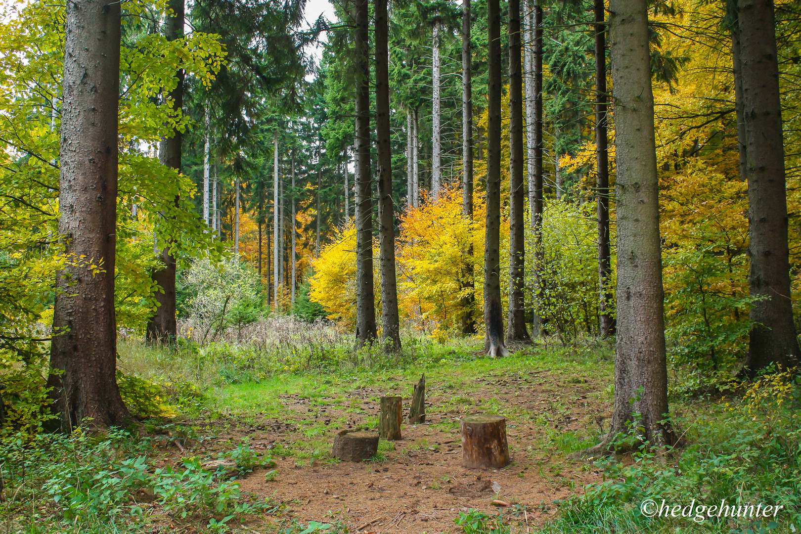 Herbstimpressionen-7382