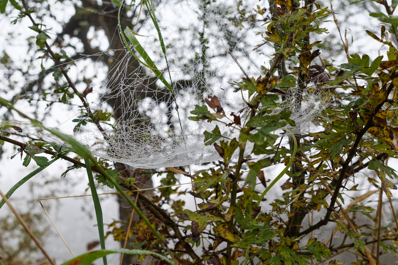 Herbstimpressionen