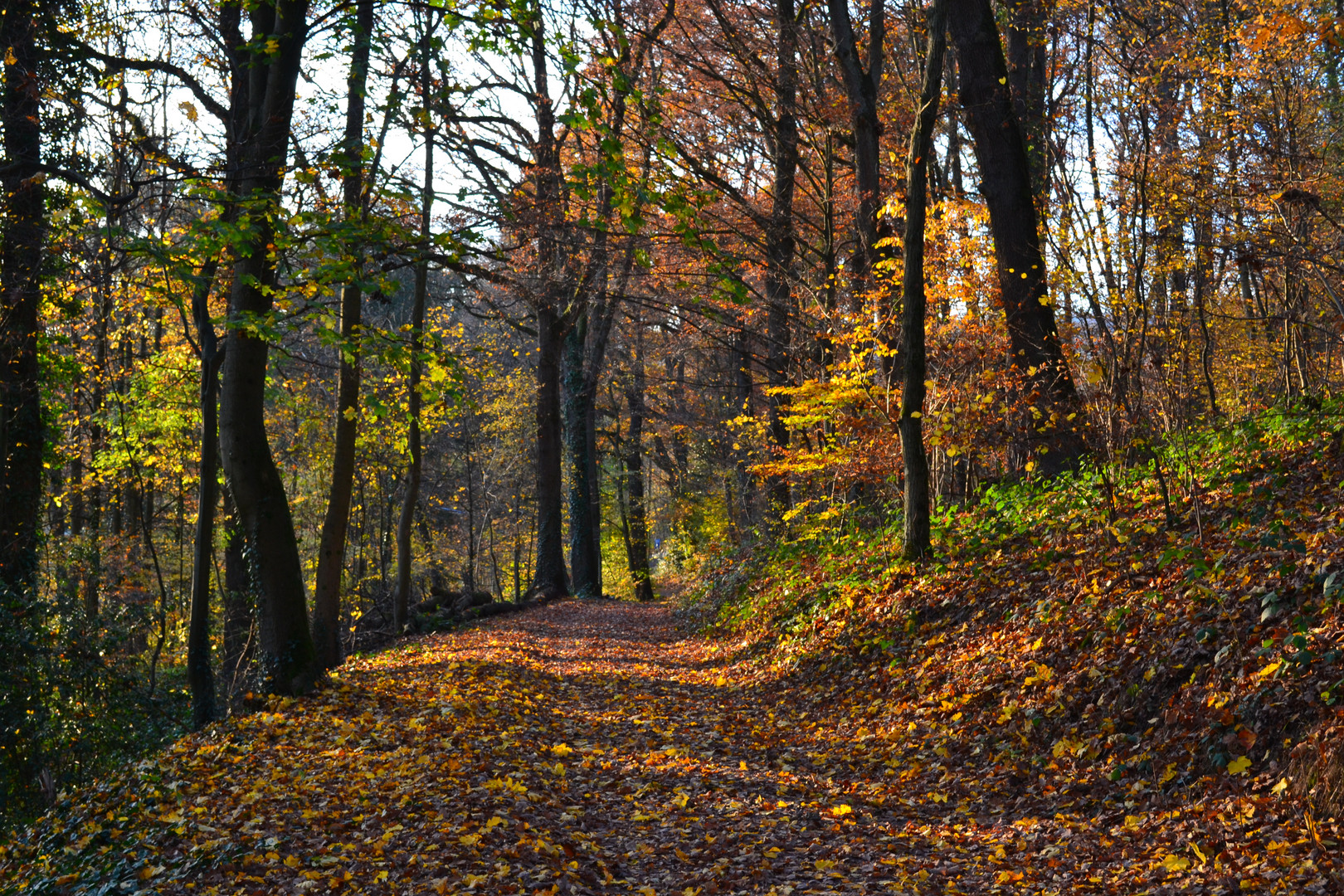 Herbstimpressionen