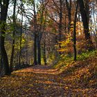 Herbstimpressionen