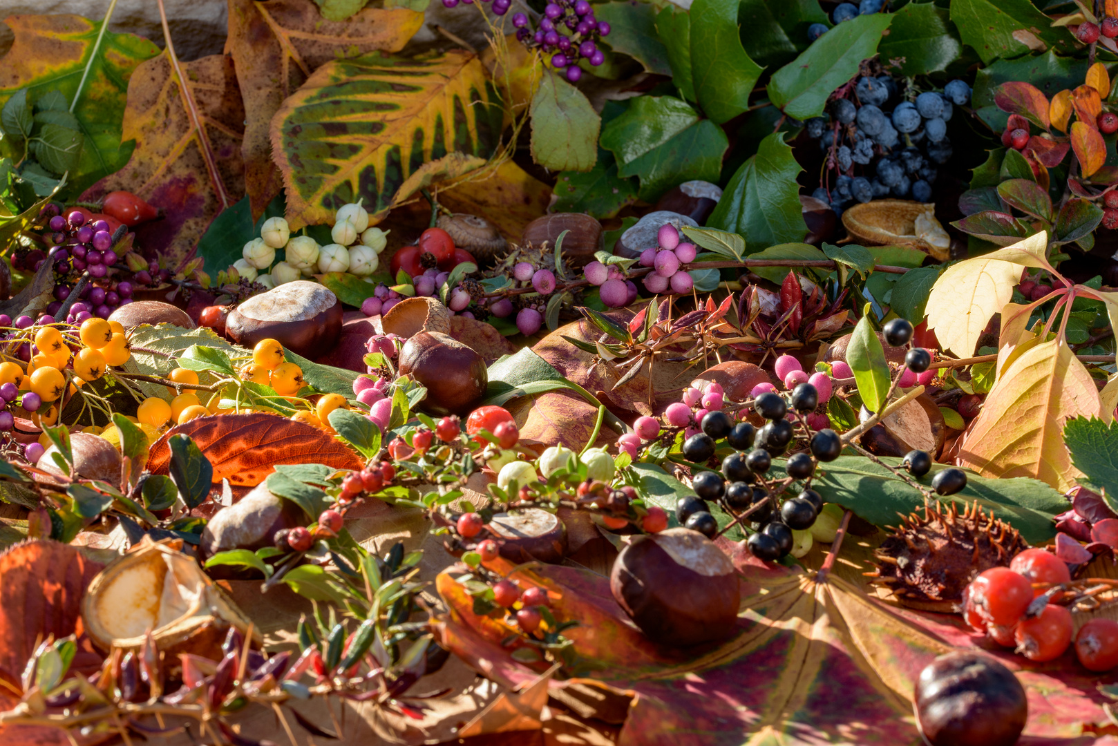 Herbstimpressionen