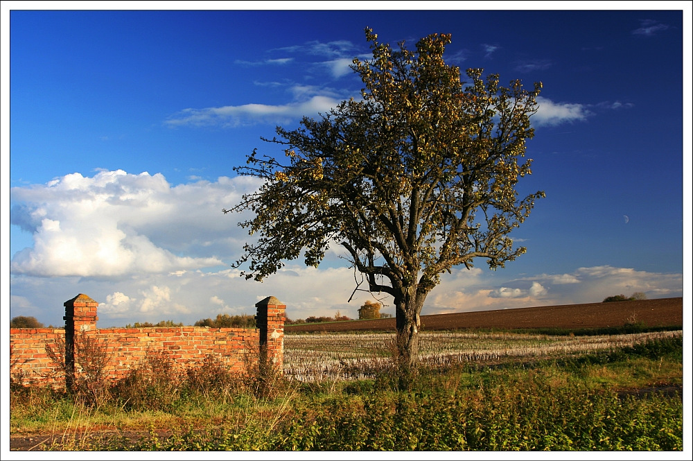 ''' Herbstimpressionen '''