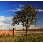 ''' Herbstimpressionen '''