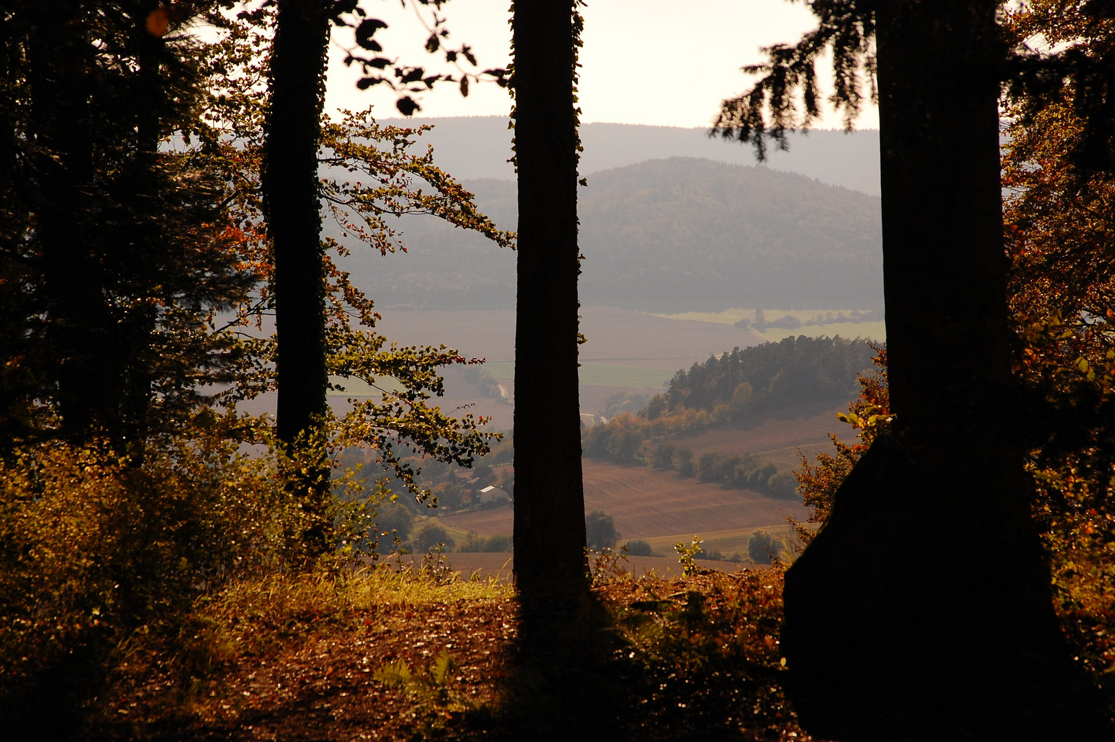 Herbstimpressionen