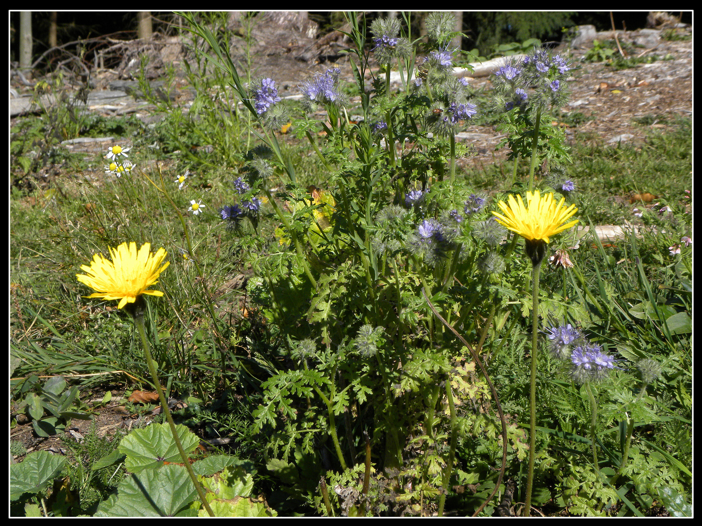 Herbstimpressionen 8