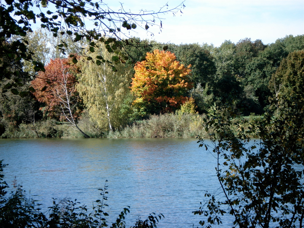 Herbstimpressionen