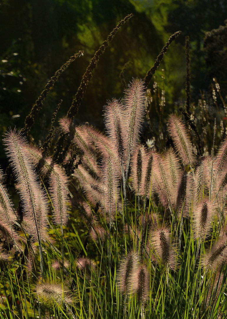 Herbstimpressionen