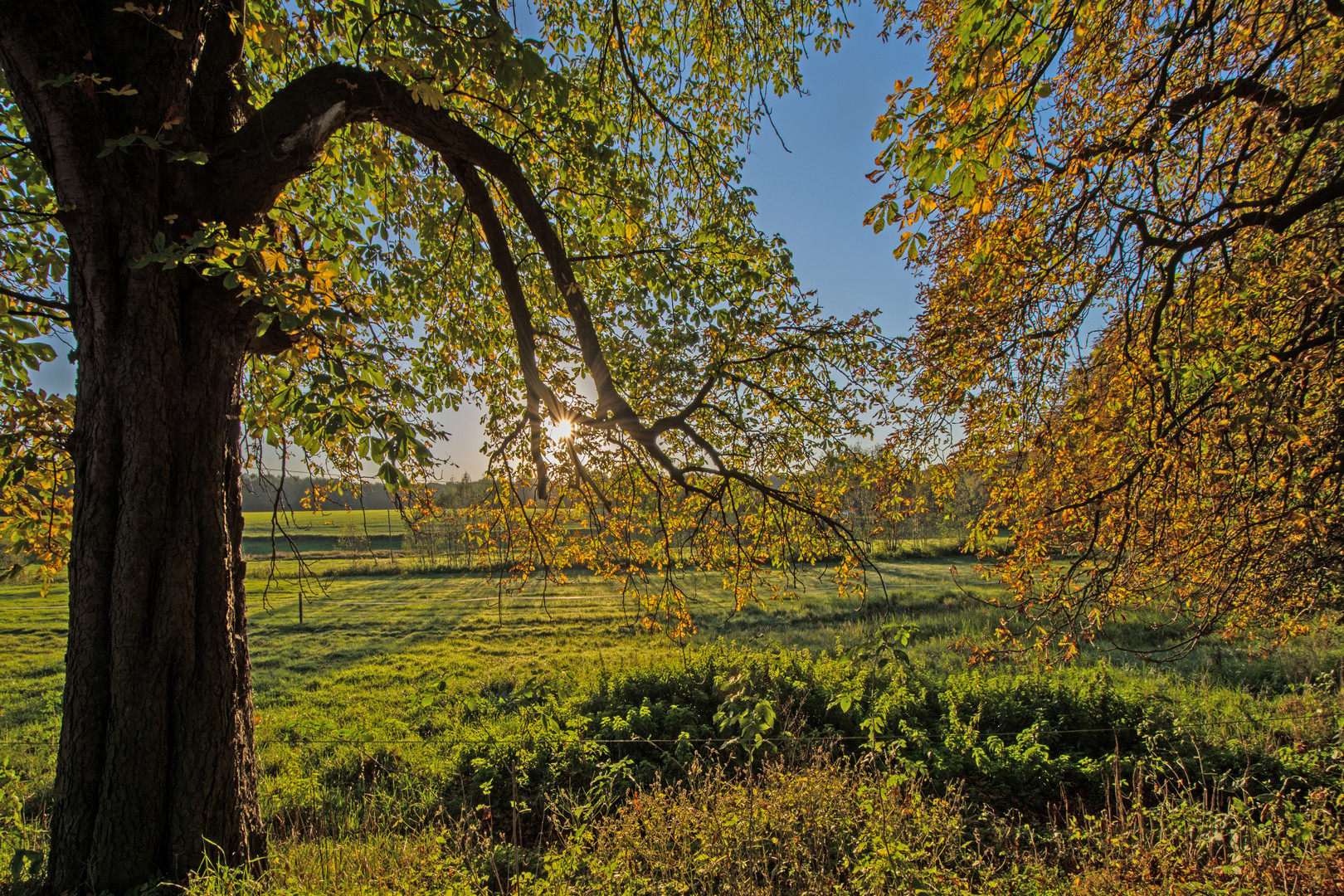 Herbstimpressionen