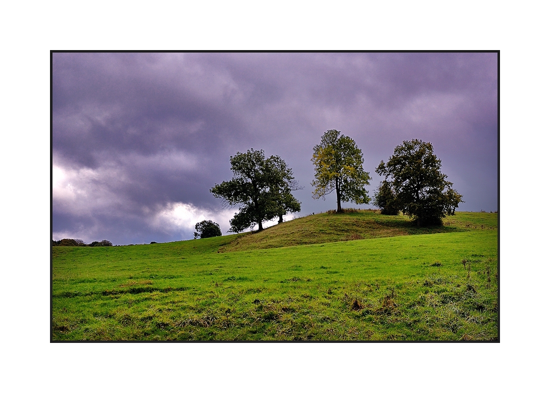 Herbstimpressionen...