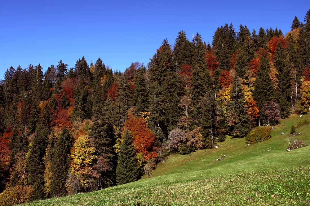 Herbstimpressionen