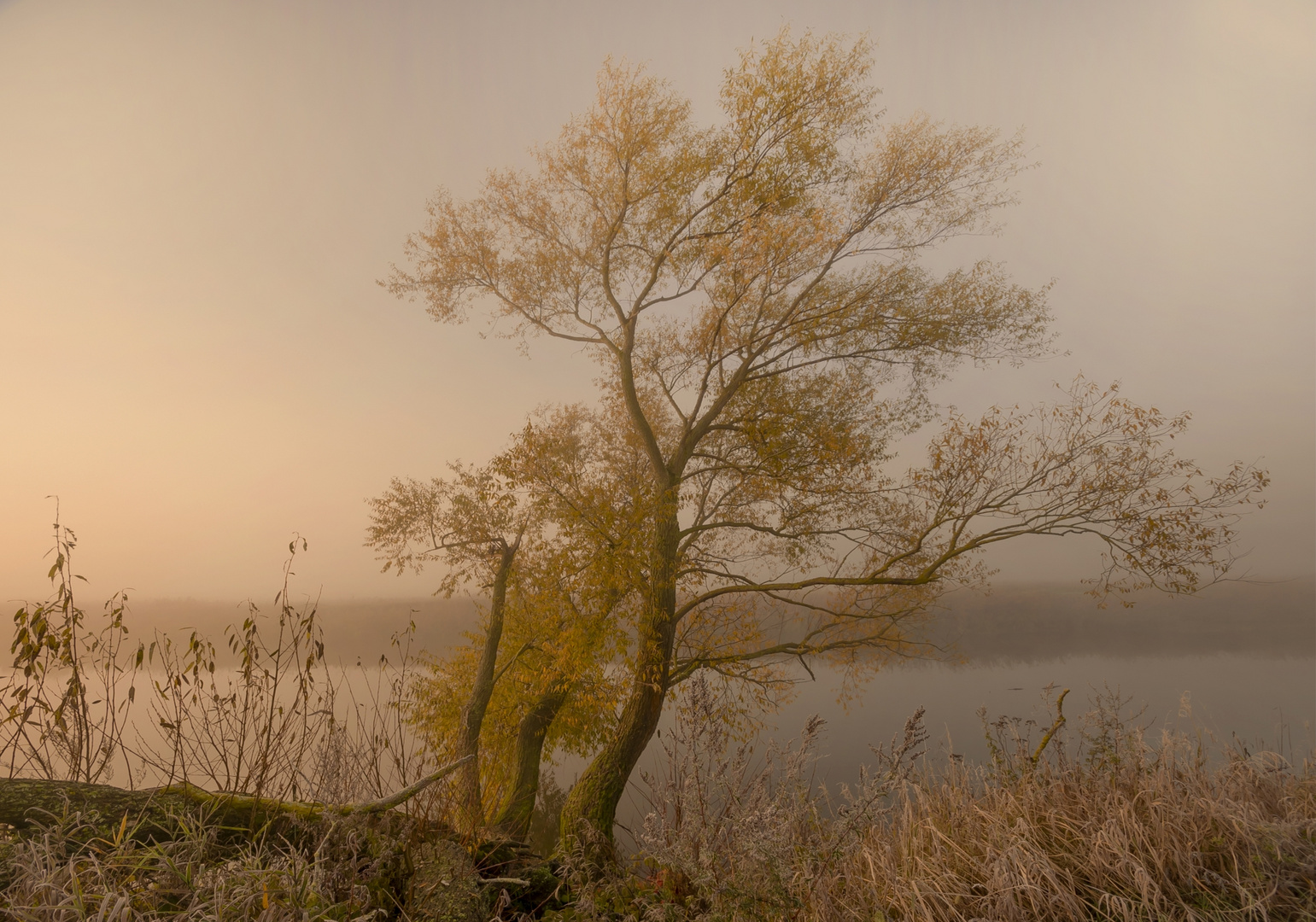 Herbstimpressionen