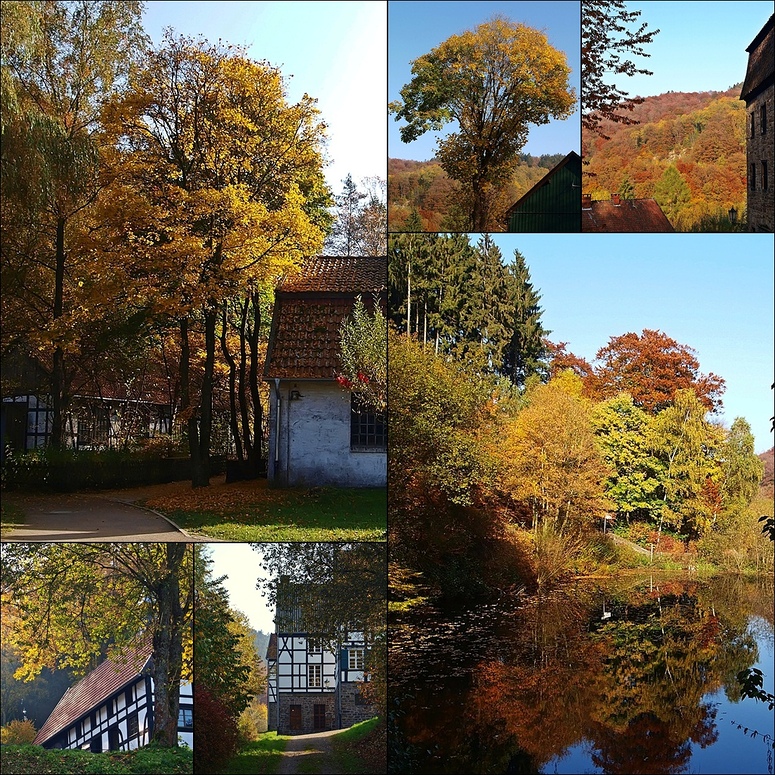 Herbstimpressionen