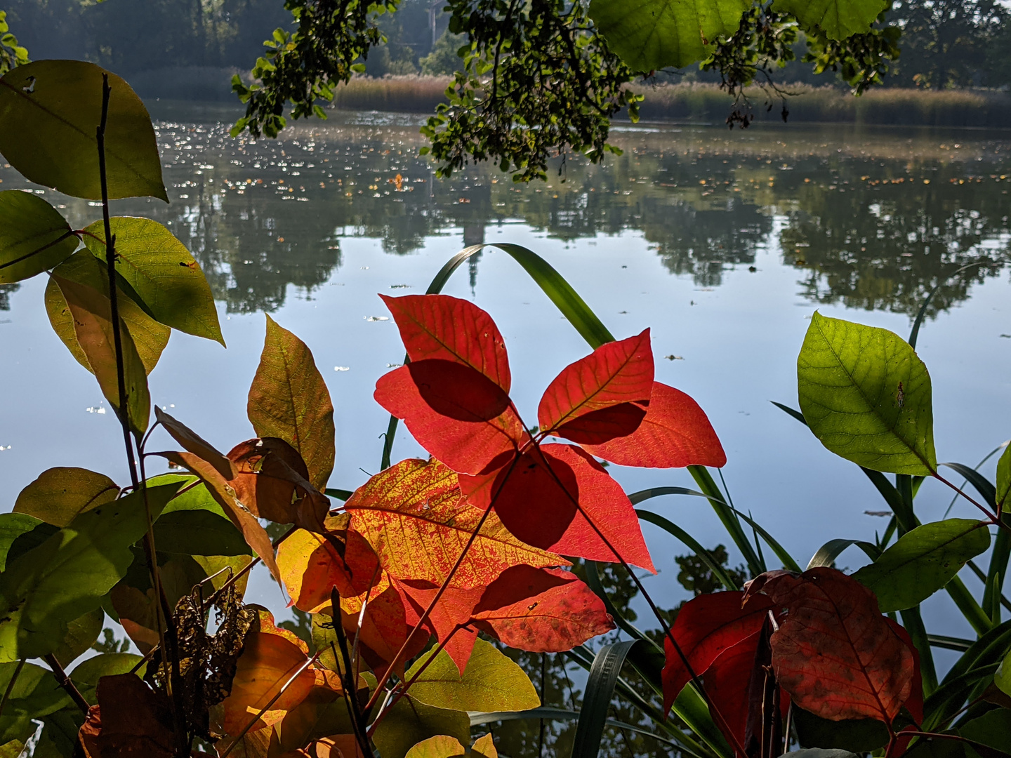 Herbstimpressionen...