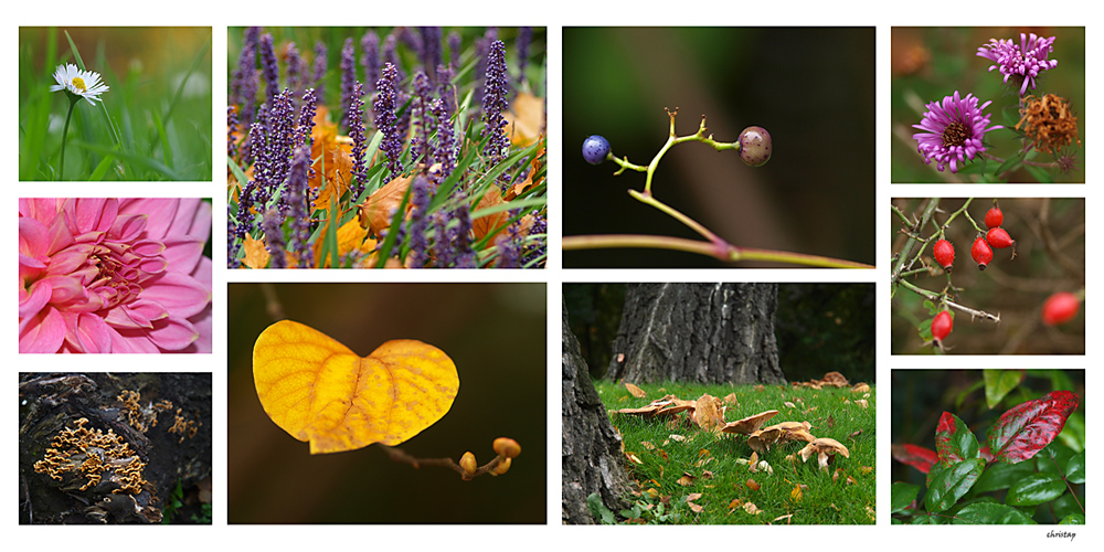 Herbstimpressionen