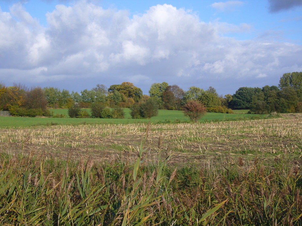 Herbstimpressionen