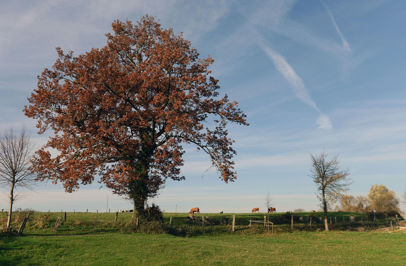 Herbstimpressionen