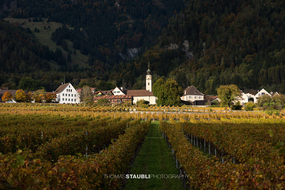 Herbstimpressionen