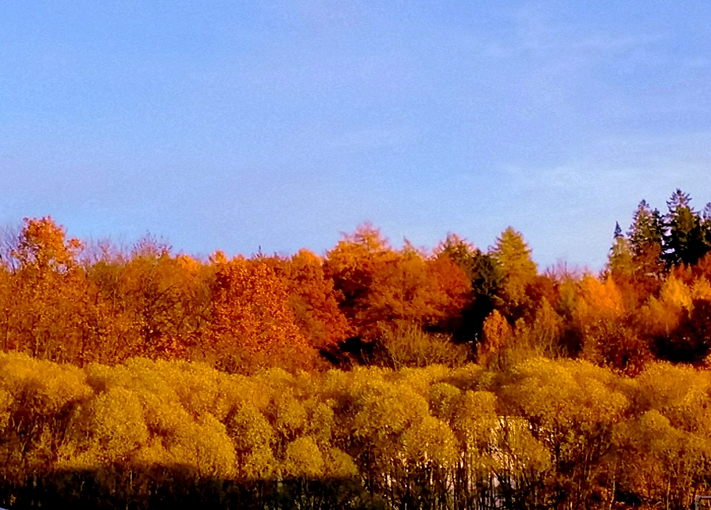 Herbstimpressionen