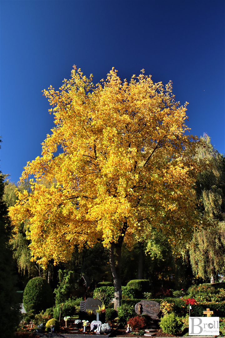 Herbstimpressionen