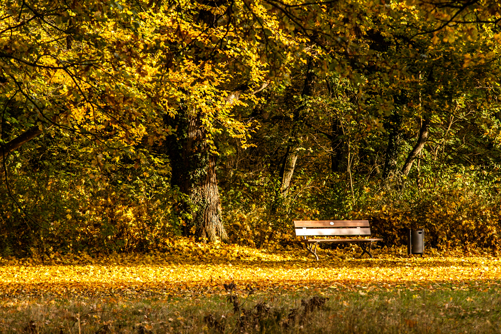 Herbstimpressionen