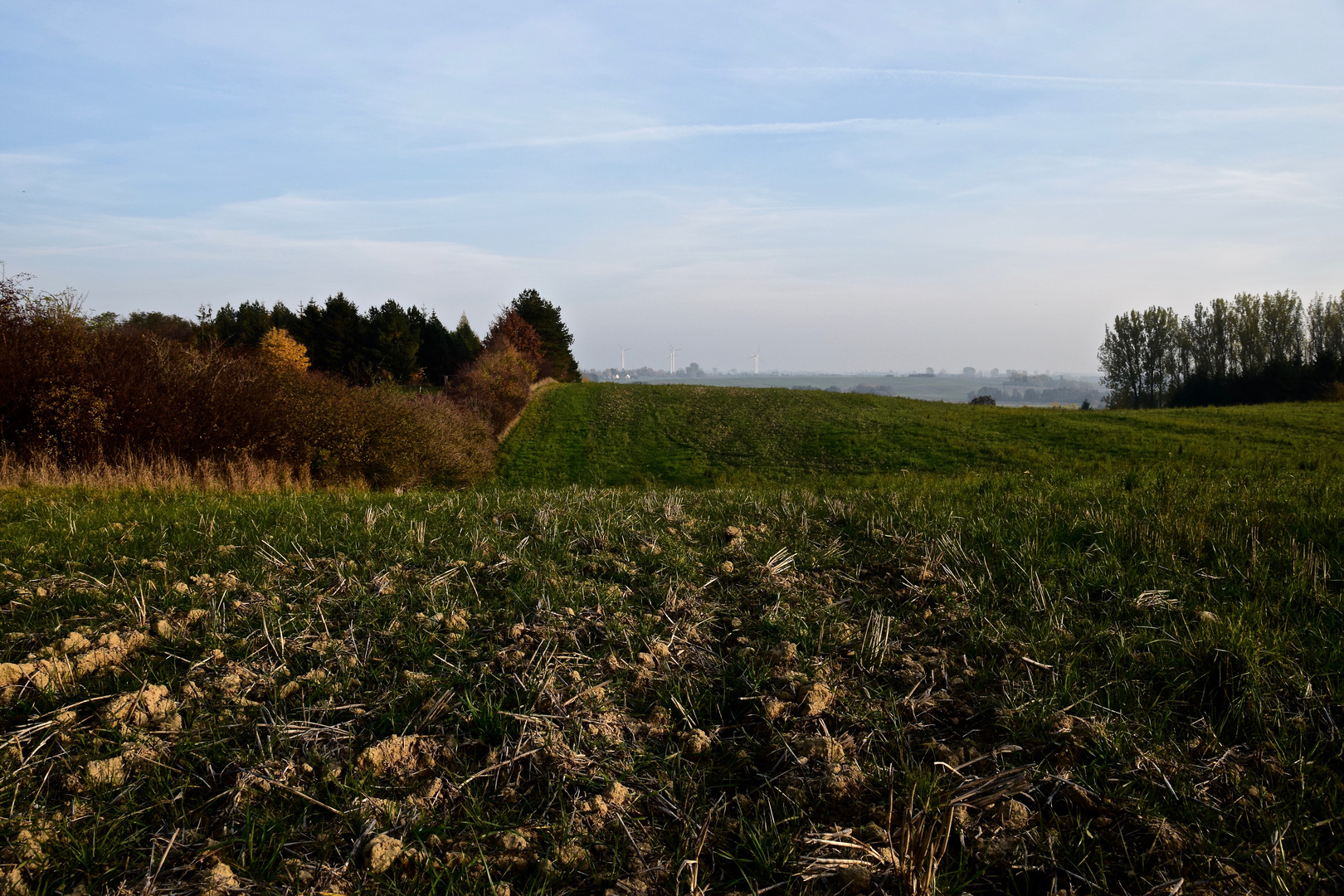 Herbstimpressionen