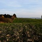 Herbstimpressionen