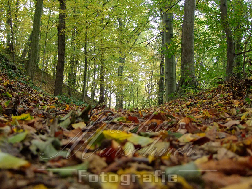 Herbstimpressionen