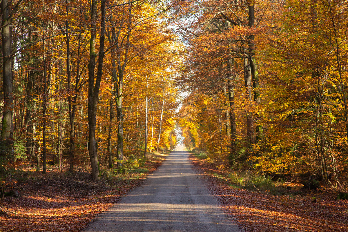 Herbstimpressionen 