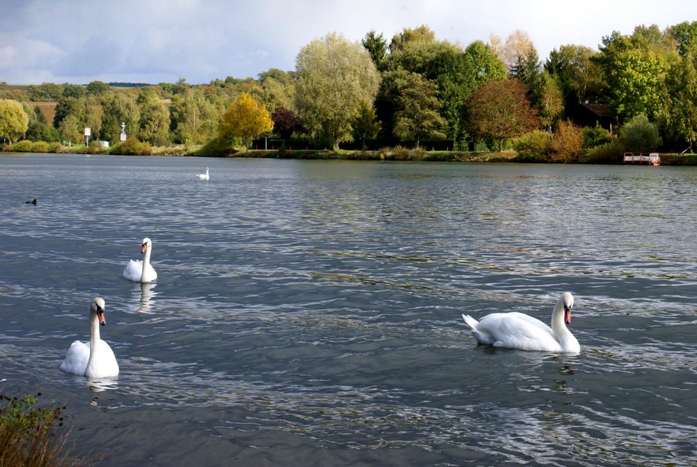 Herbstimpressionen