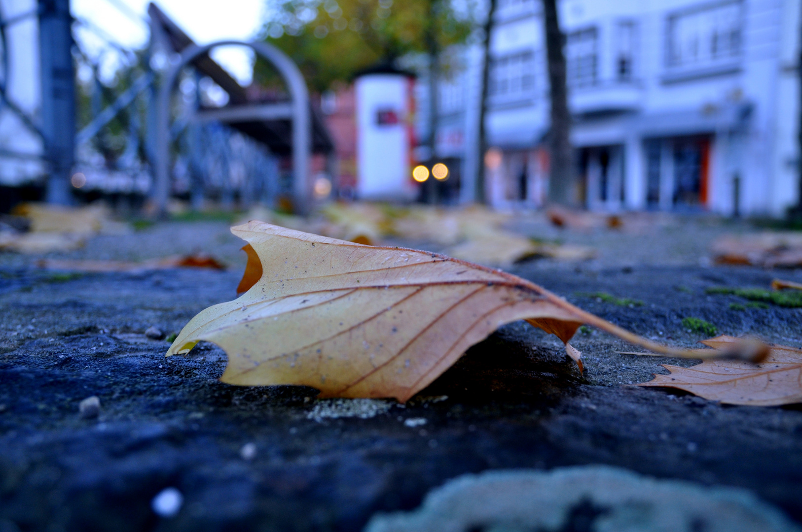 Herbstimpressionen