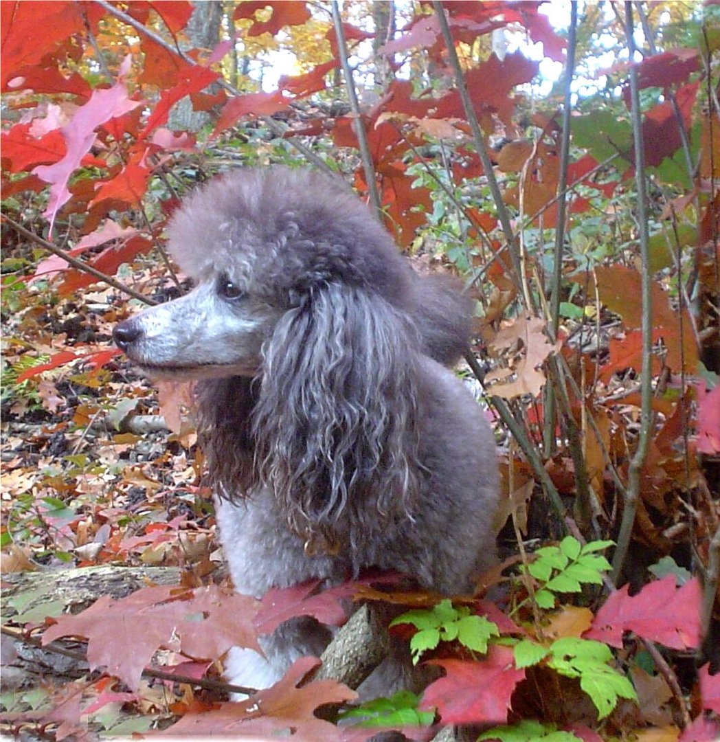 Herbstimpressionen