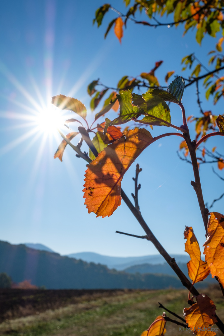 Herbstimpressionen