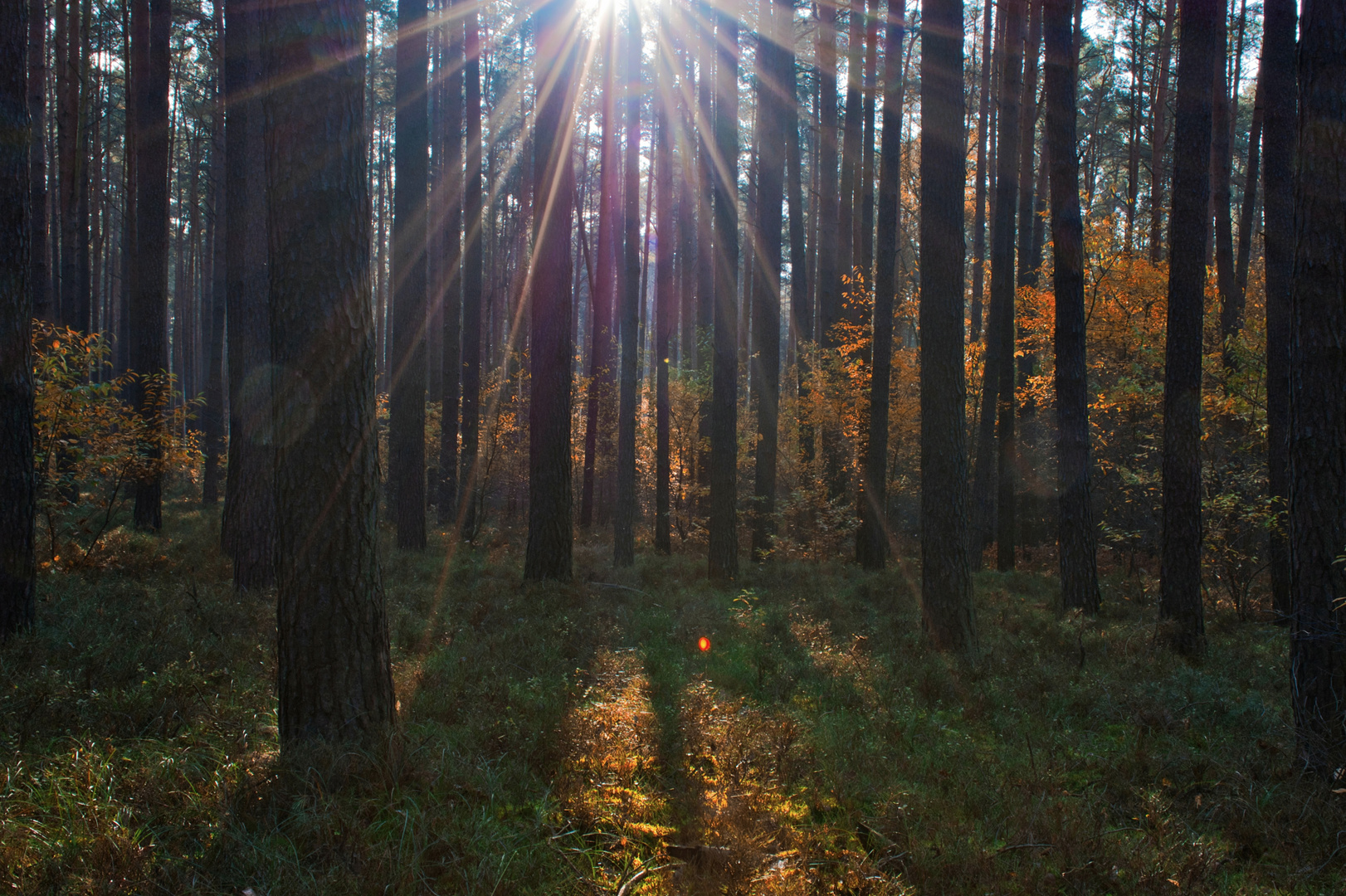 Herbstimpressionen 