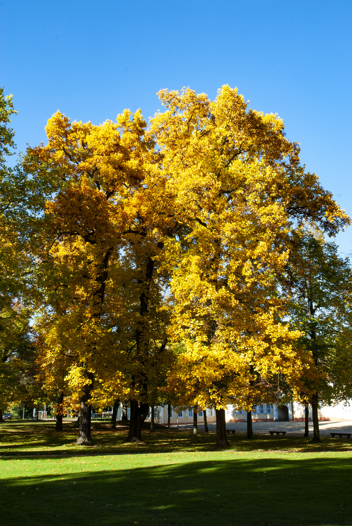 Herbstimpressionen