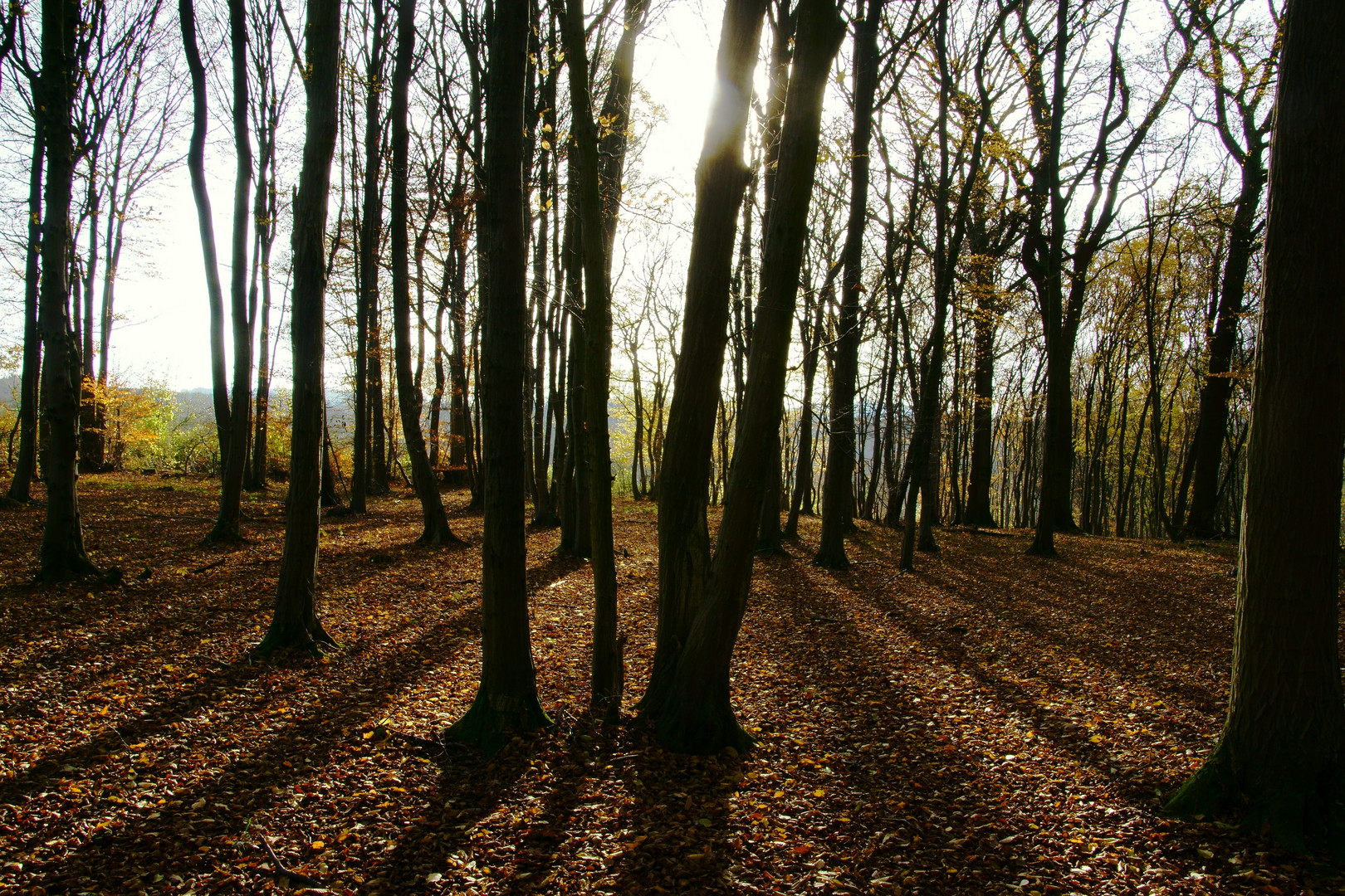 Herbstimpressionen