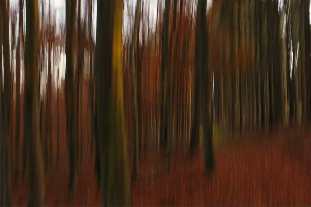 :: ~ Herbstimpressionen ~ ::